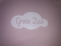 Shirtje grote zus