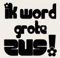 t shirt grote zus