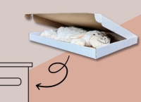 Brievenbus Knuffel Olifant