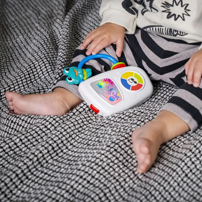 Muziekspeeltje onderwaterdieren