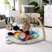 Activiteiten babygym zebra