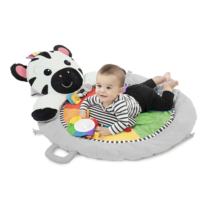 Activiteiten babygym zebra