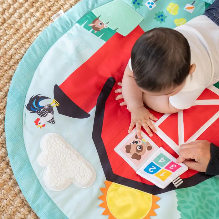 Baby activiteiten gym boerderijvriendjes