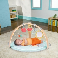 Activiteiten babygym Winnie de Pooh